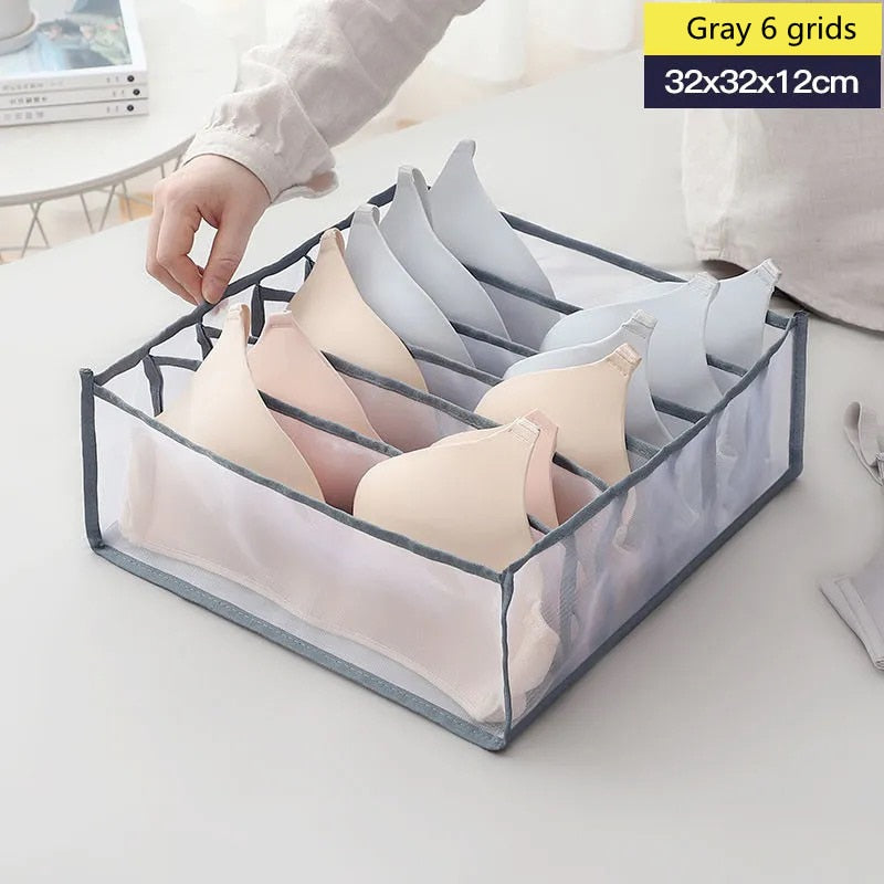 Undergarment Drawer/Closet Organizer